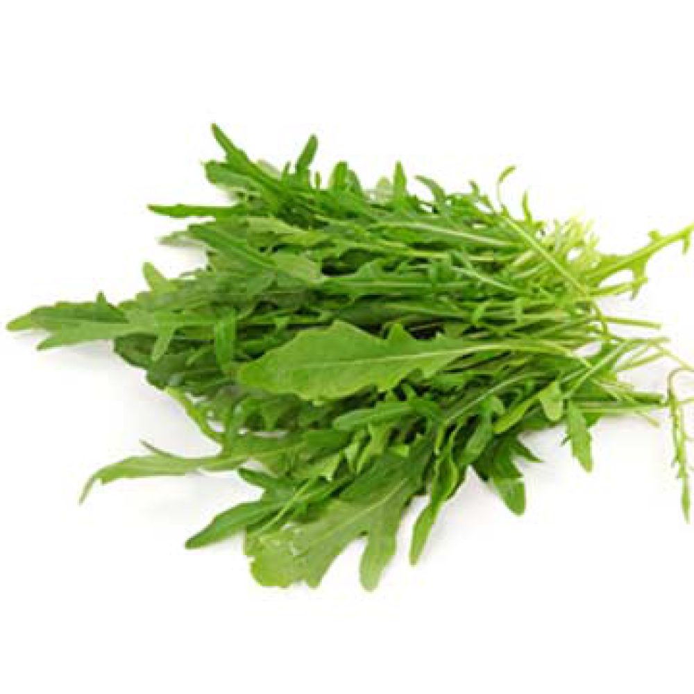 Rucola
